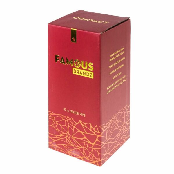 Buy Famous Brandz Contact Straight Glass Dab Rig with Ice Notches| 10 Inch in australia